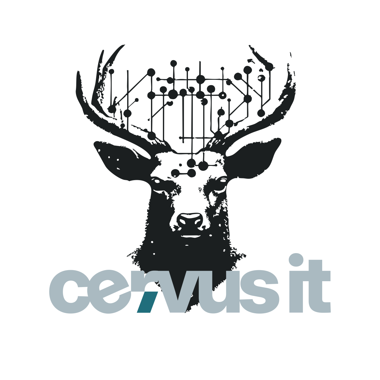 Cervus-IT_Logo-03_smal.png